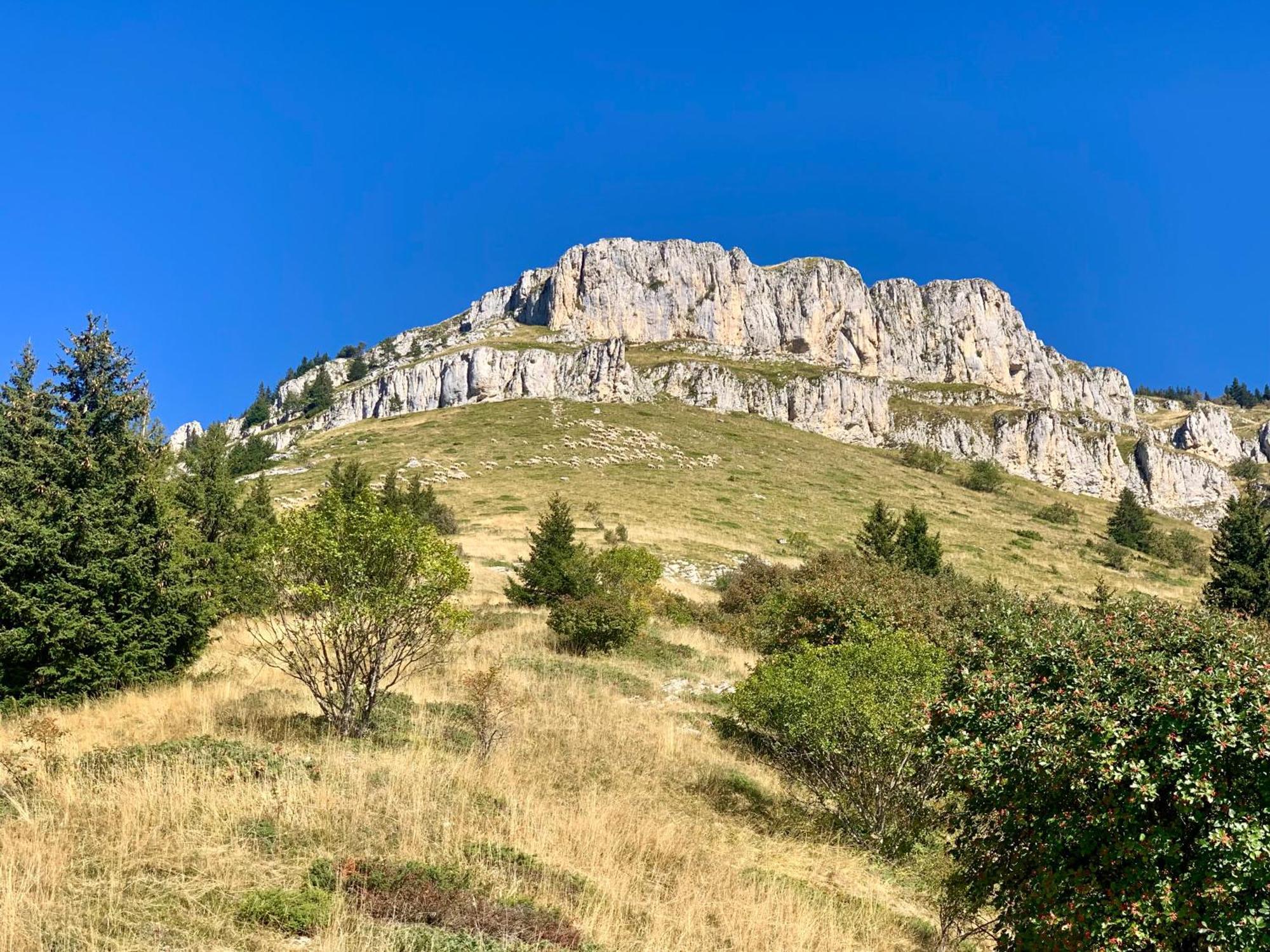 Vercors En Vert , Chambres D'Hotes De Charme Saint-Romans  Exterior foto