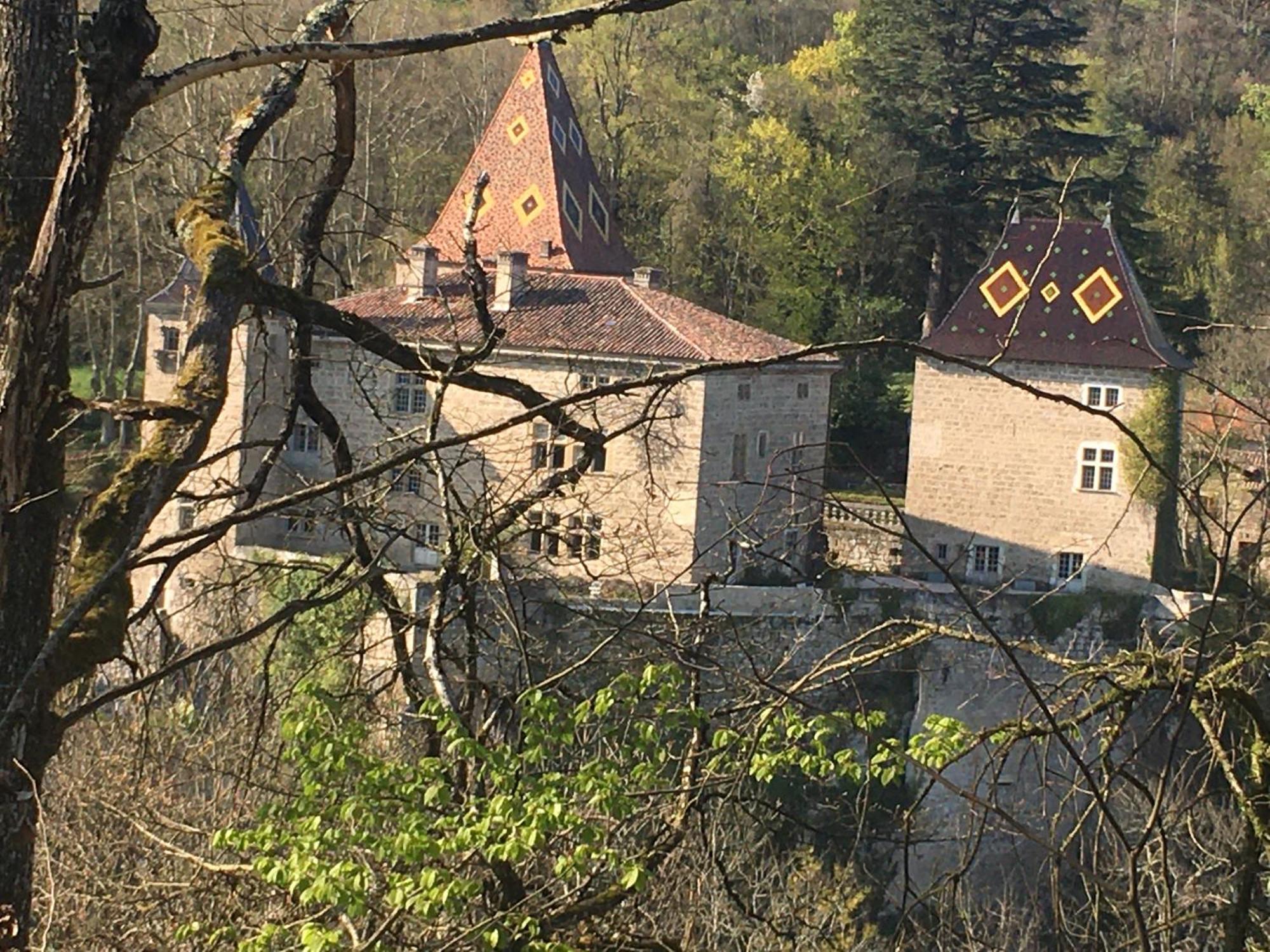 Vercors En Vert , Chambres D'Hotes De Charme Saint-Romans  Exterior foto
