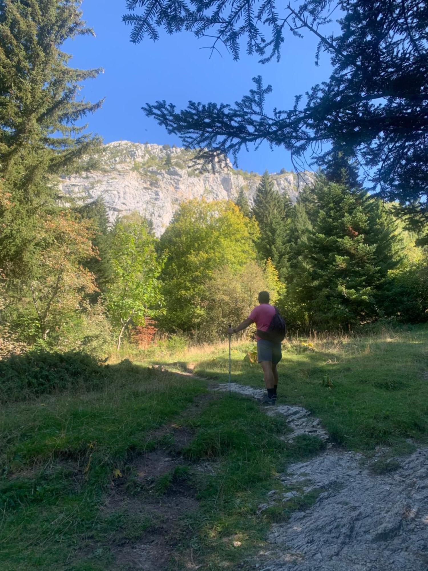 Vercors En Vert , Chambres D'Hotes De Charme Saint-Romans  Exterior foto
